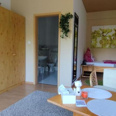 Doppelzimmer An Der Lahn Ohne Kueche Lejlighed Obernhof Eksteriør billede